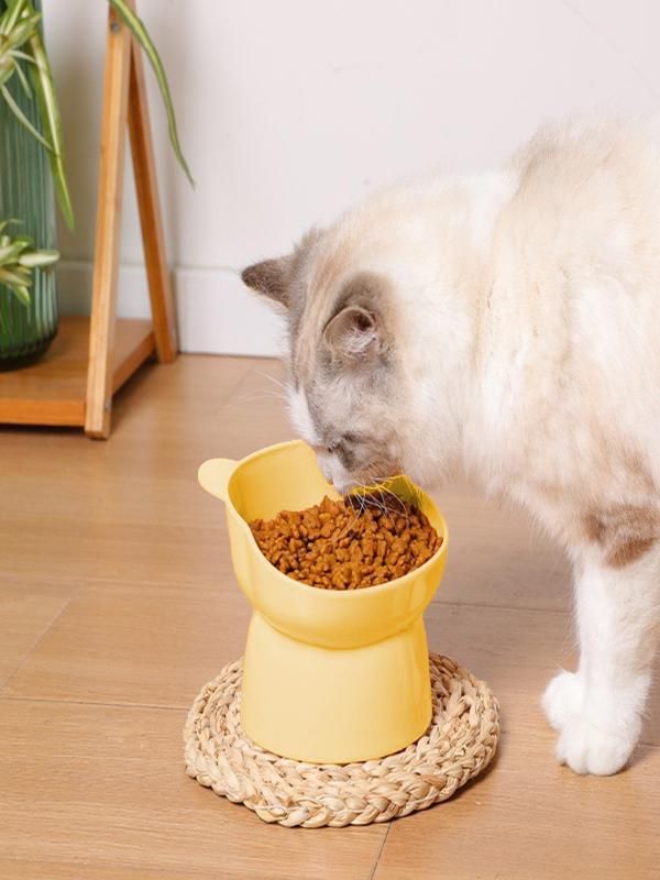 Pets  Feeeding