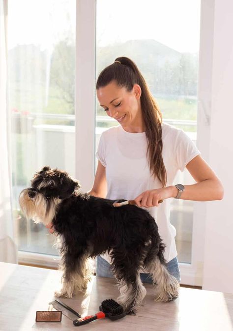 Pet Grooming