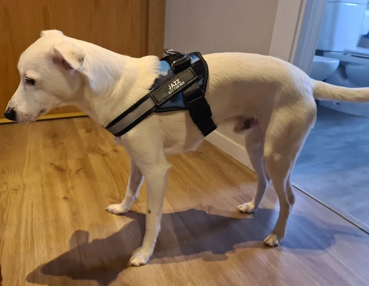 Dog Harness Vest ID Patch Customized