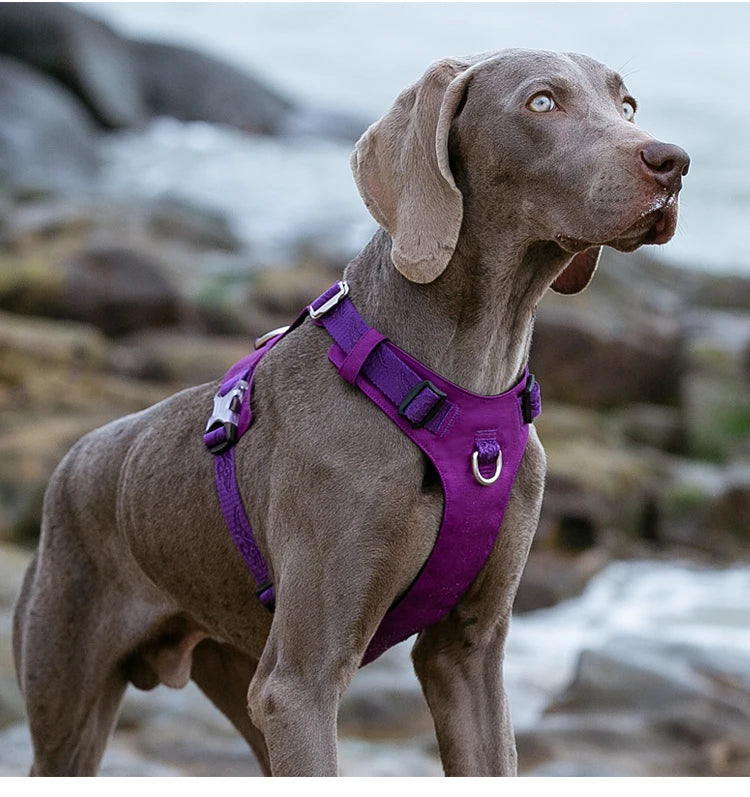 Truelove Dog Light Weight Harness