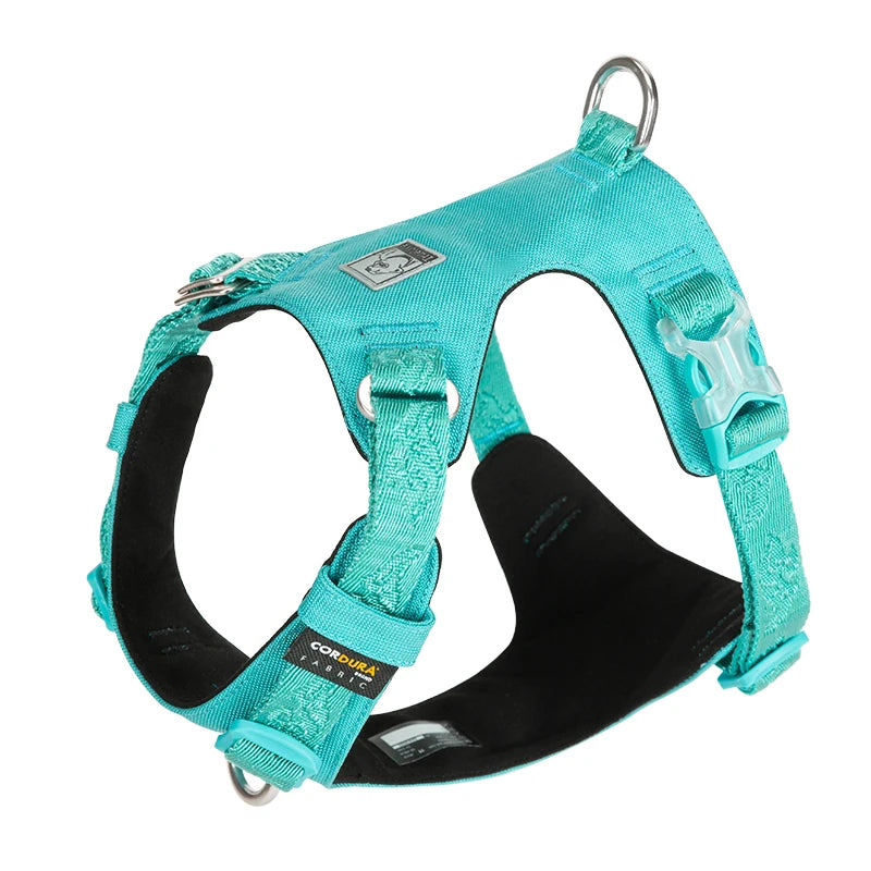 Truelove Dog Light Weight Harness