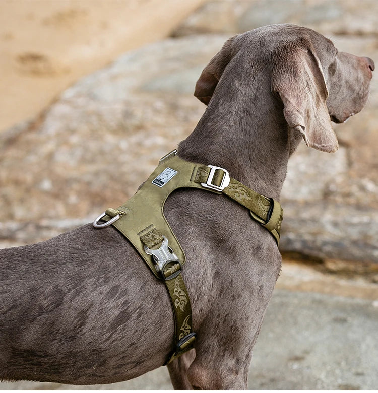 Truelove Dog Light Weight Harness