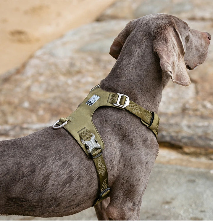 Truelove Dog Light Weight Harness