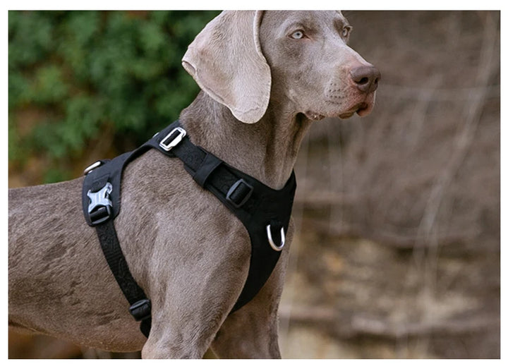 Truelove Dog Light Weight Harness