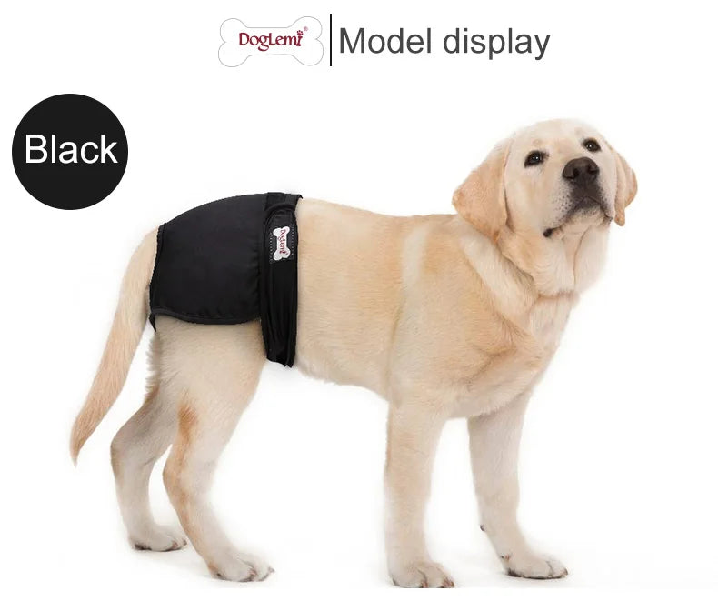S-XL Pet Dogs Girl Underwear Dog