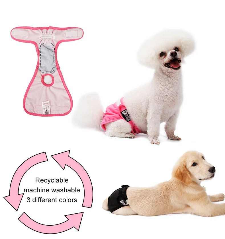S-XL Pet Dogs Girl Underwear Dog