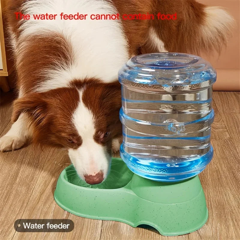 Pet dog and cat water feeding and feeder