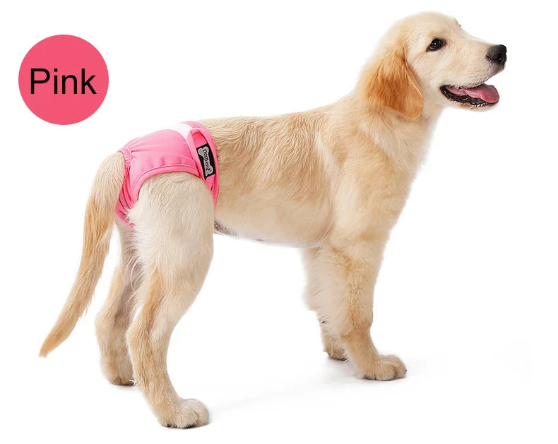 S-XL Pet Dogs Girl Underwear Dog