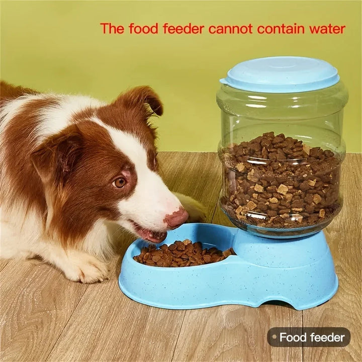 Pet dog and cat water feeding and feeder