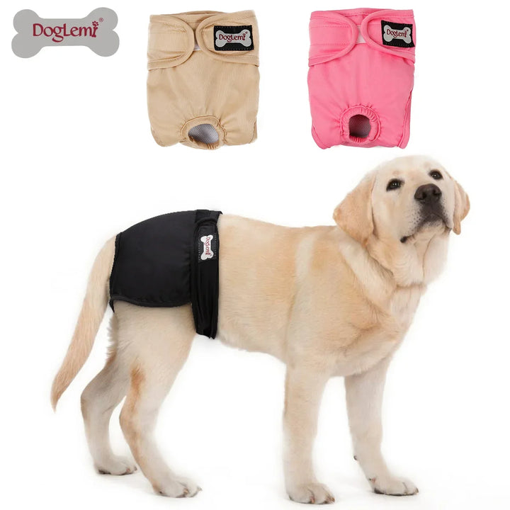 S-XL Pet Dogs Girl Underwear Dog