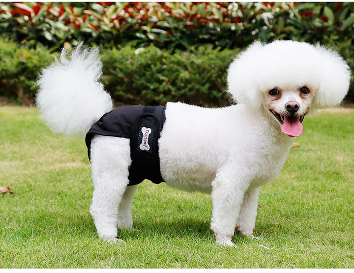 S-XL Pet Dogs Girl Underwear Dog