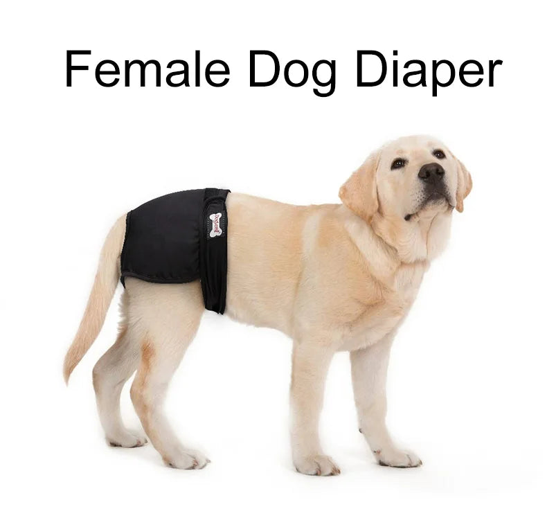 S-XL Pet Dogs Girl Underwear Dog