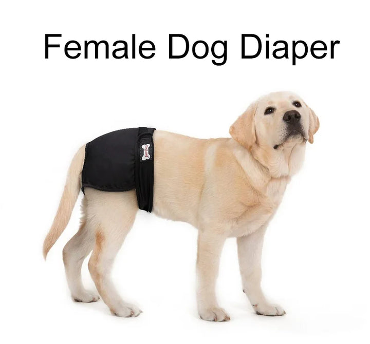 S-XL Pet Dogs Girl Underwear Dog