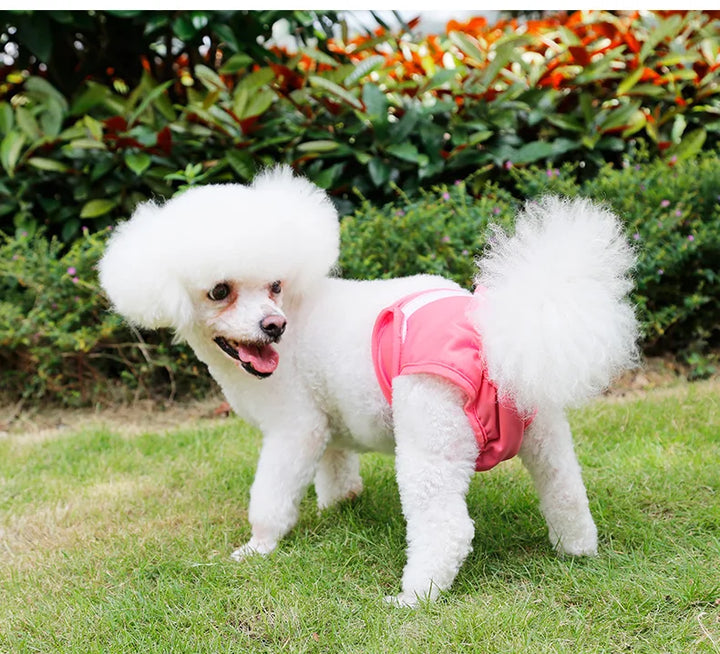S-XL Pet Dogs Girl Underwear Dog