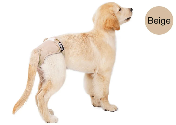S-XL Pet Dogs Girl Underwear Dog