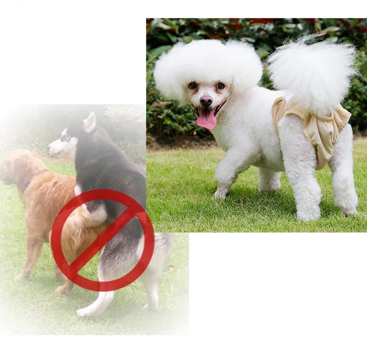 S-XL Pet Dogs Girl Underwear Dog
