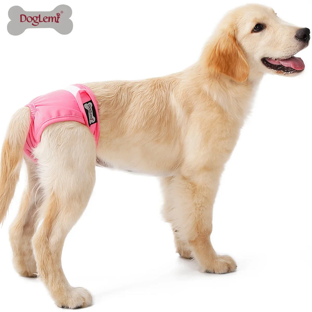 S-XL Pet Dogs Girl Underwear Dog