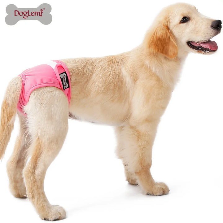 S-XL Pet Dogs Girl Underwear Dog