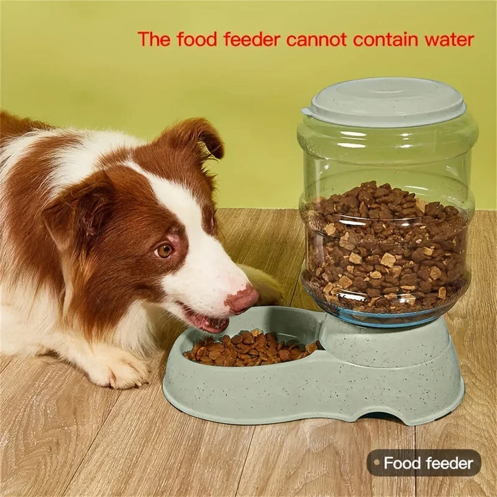 Pet dog and cat water feeding and feeder