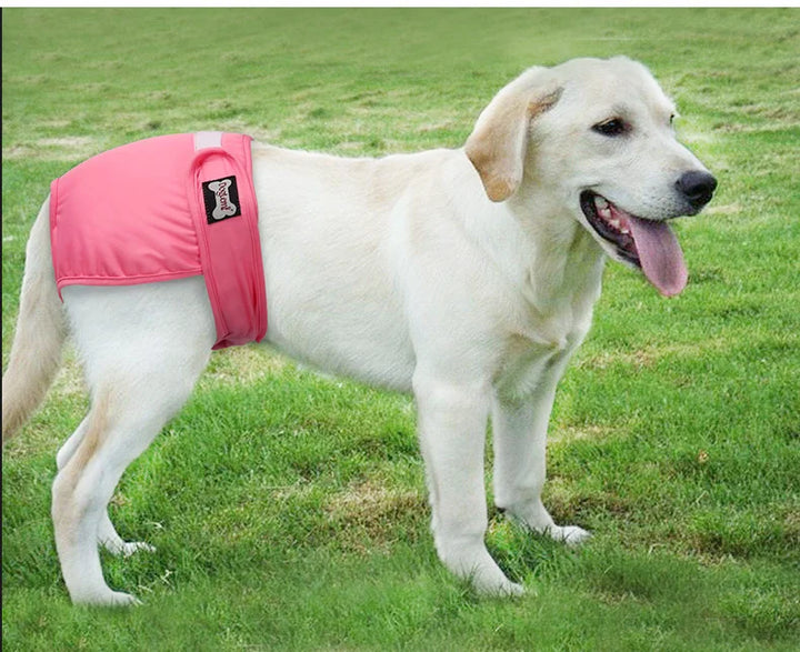 S-XL Pet Dogs Girl Underwear Dog