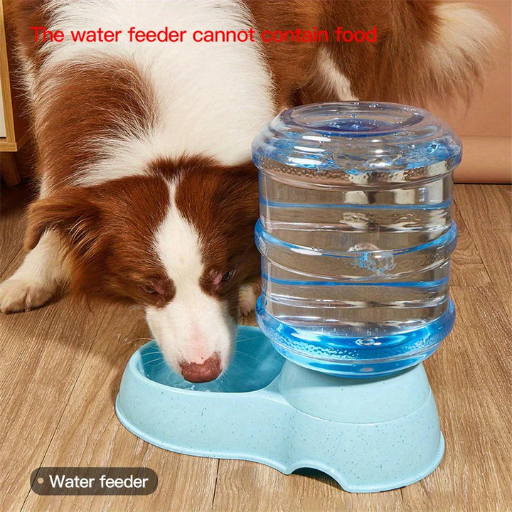 Pet dog and cat water feeding and feeder