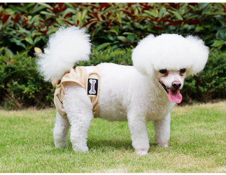 S-XL Pet Dogs Girl Underwear Dog