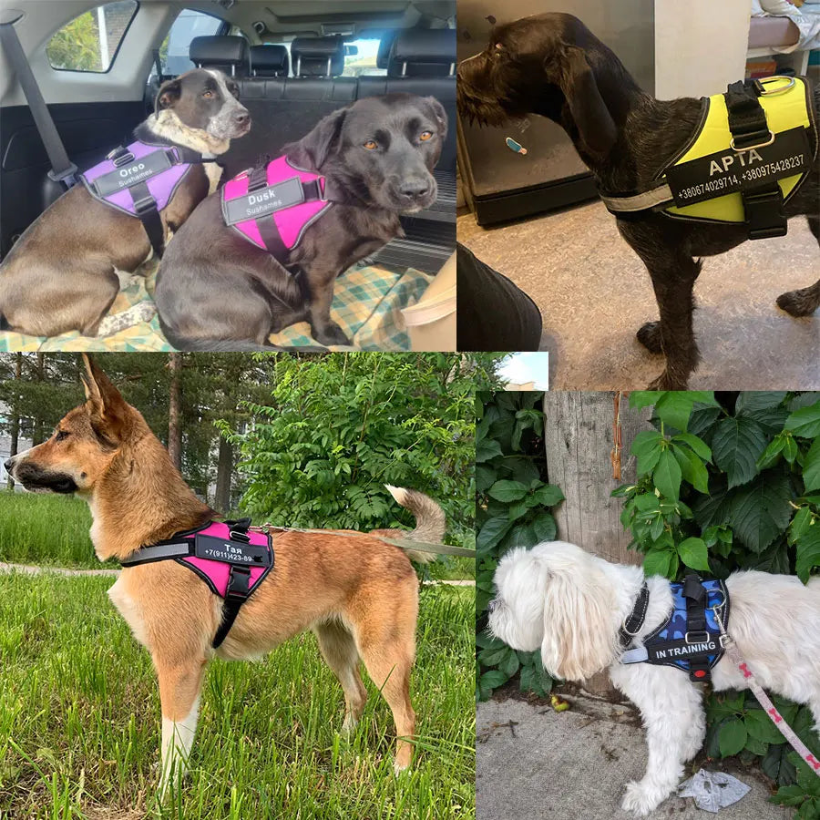 Dog Harness Vest ID Patch Customized