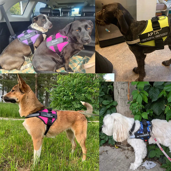 Dog Harness Vest ID Patch Customized