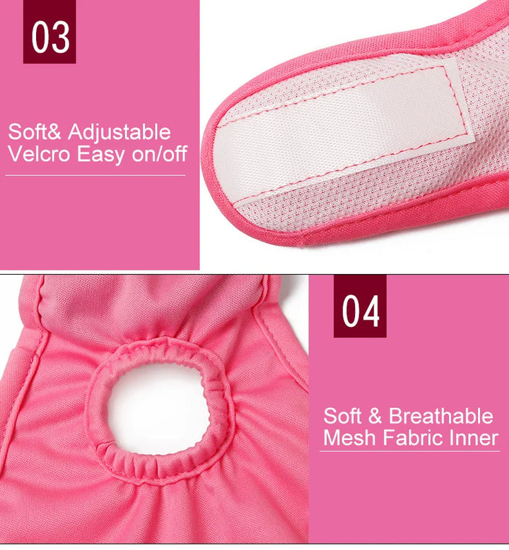 S-XL Pet Dogs Girl Underwear Dog