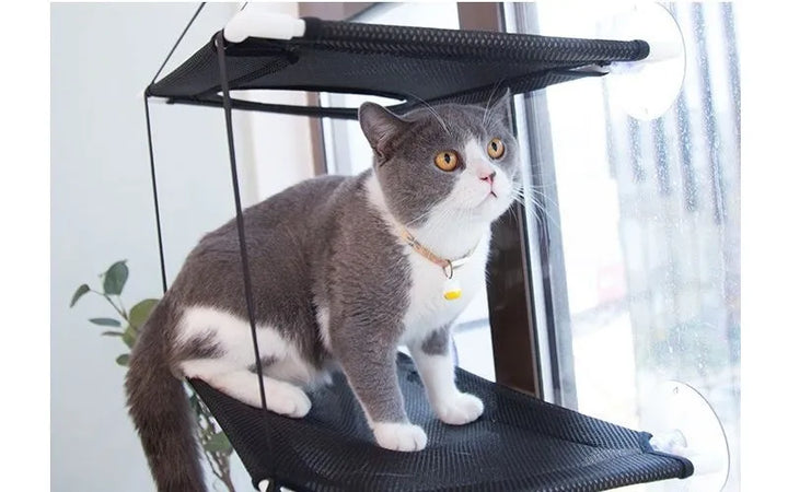 Beds Cat Sofa double-decker