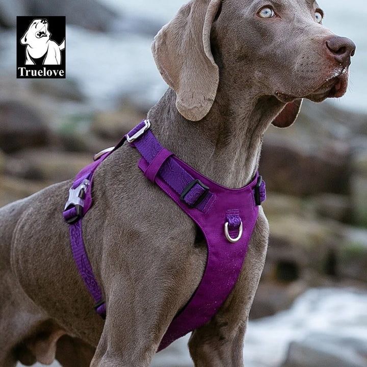Truelove Dog Light Weight Harness