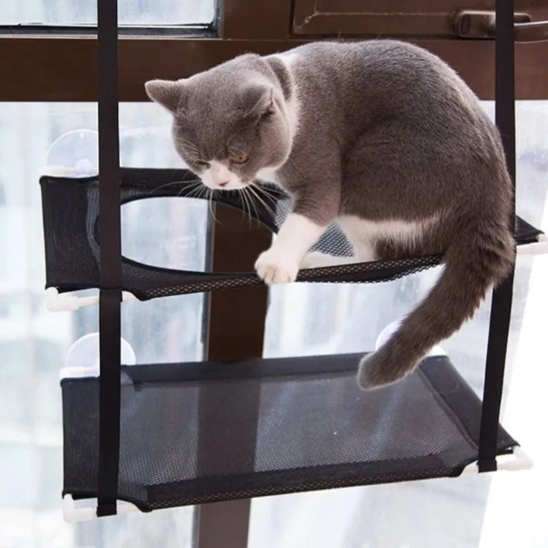 Beds Cat Sofa double-decker