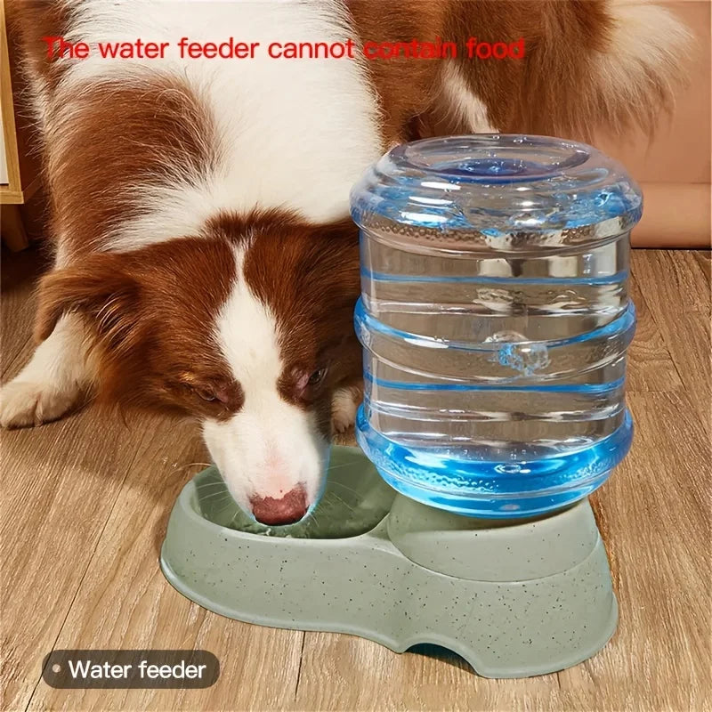 Pet dog and cat water feeding and feeder