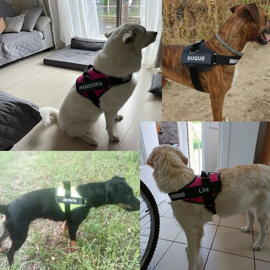 Dog Harness Vest ID Patch Customized