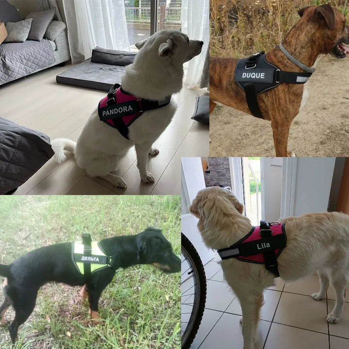 Dog Harness Vest ID Patch Customized