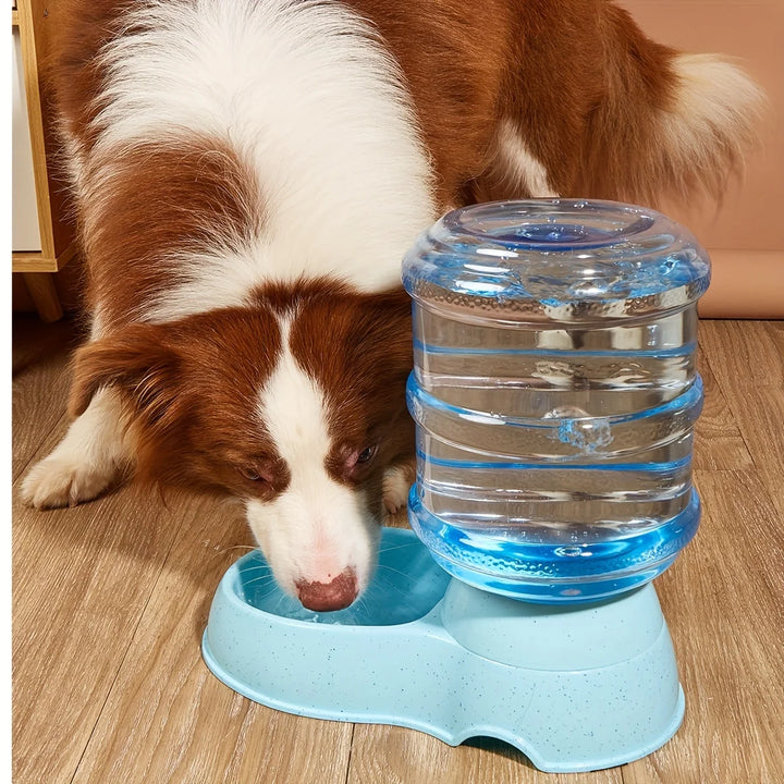 Pet dog and cat water feeding and feeder