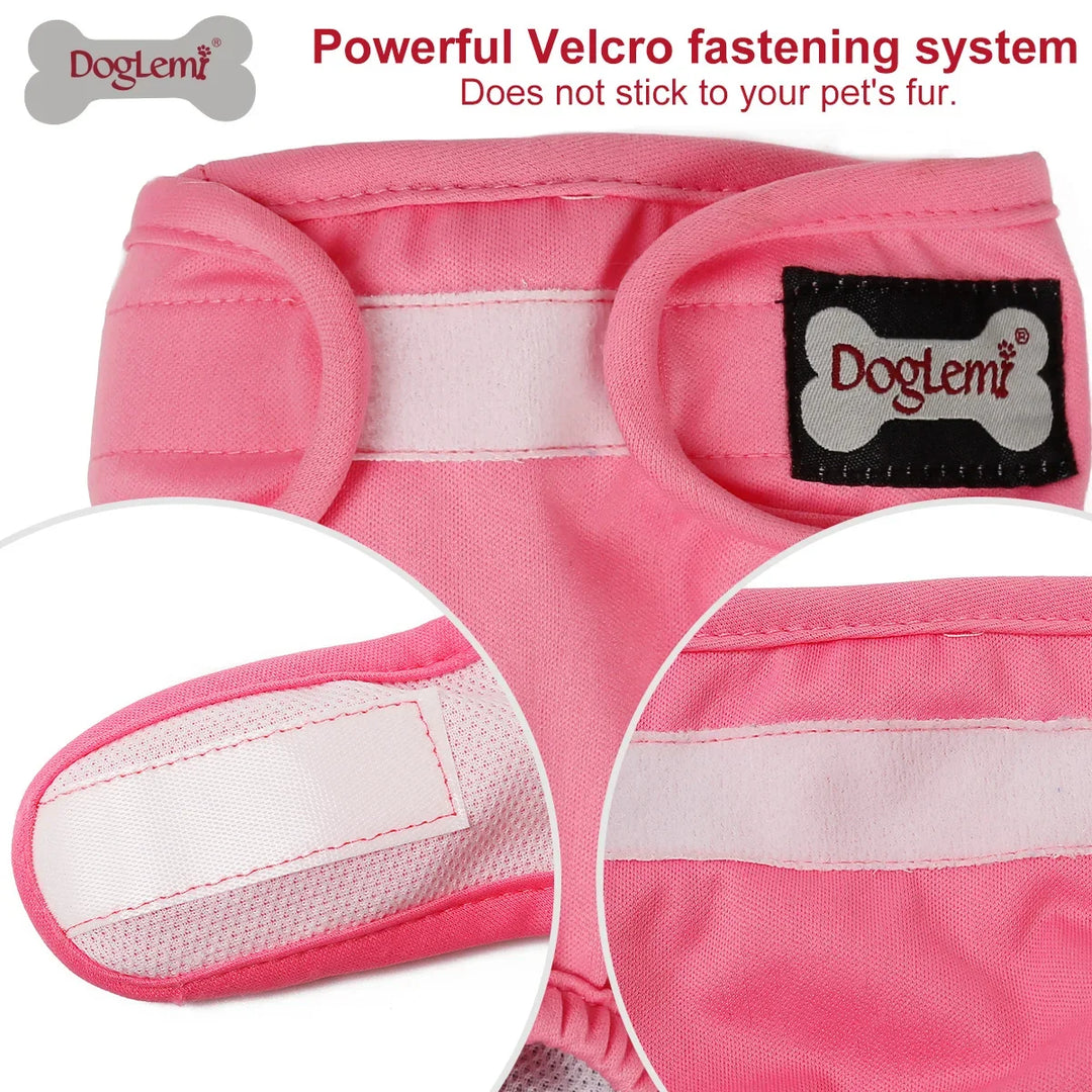 S-XL Pet Dogs Girl Underwear Dog
