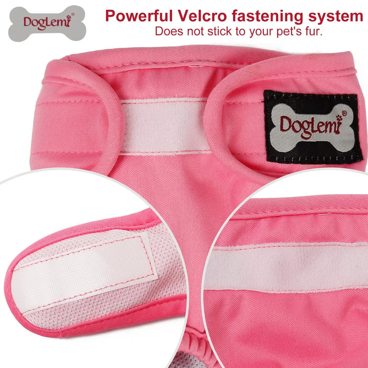 S-XL Pet Dogs Girl Underwear Dog