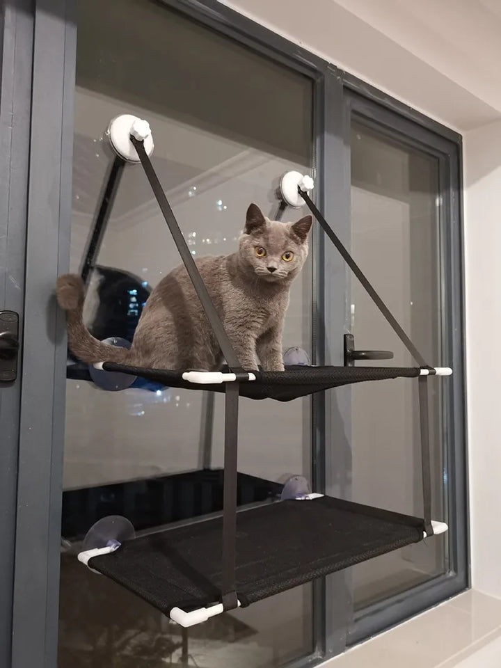 Beds Cat Sofa double-decker