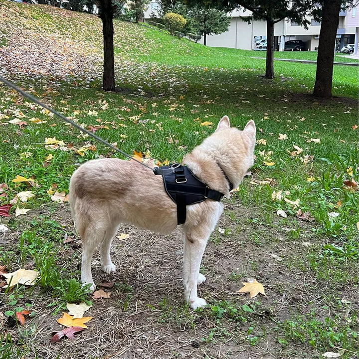 Dog Harness Vest ID Patch Customized